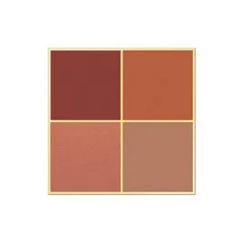 خرید و قیمت پالت سایه 4 رنگ گلدن رز Golden Rose رنگ 05 Red Brick
