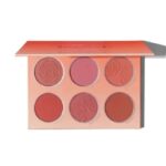 خرید و قیمت پالت رژ گونه 6 رنگ شیگلم مدل Foloral Flush