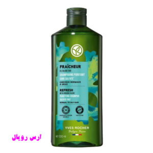 خرید و قیمت شامپو سر بدون سولفات ایوروشه Yves Rocher مناسب مو های چرب حجم 300 میل